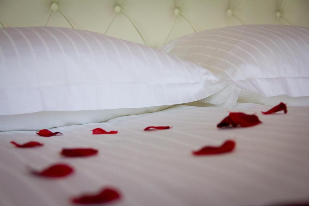 Guest House Sterk Nova Gorica Room photo